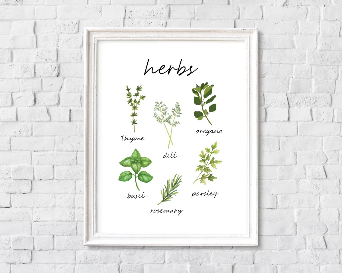Freebie – Kitchen herbs print